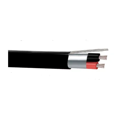 cable-dixon-instrumentacion-2-x-22-awg-apantallado-negro-01-1.webp